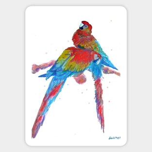 Macaw Watercolour Painting Pair Sitting on Branch Sticker